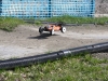 m8_sm1_2013_turku_083